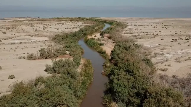 The Drying Salton Sea