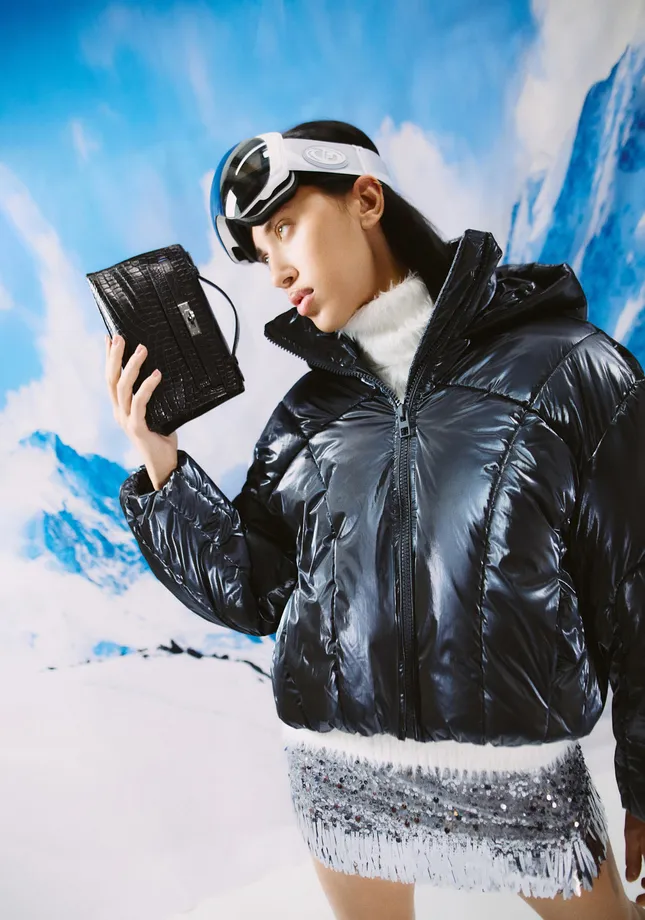 Birkin Bag Winter Story