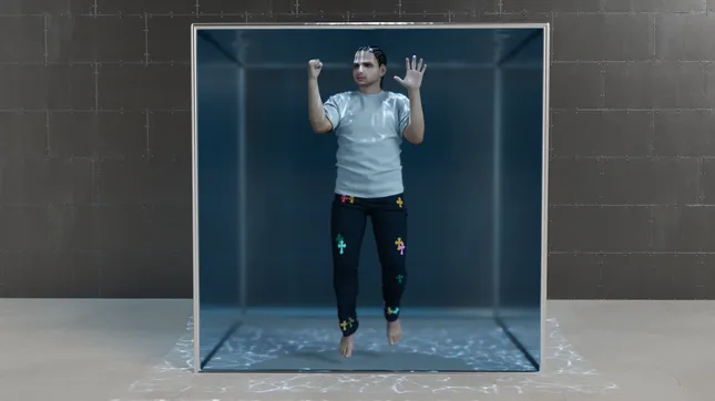 Project image