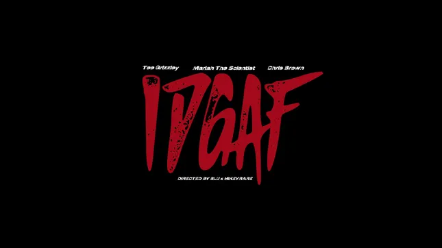 IDGAF - Tee Grizzley ft Chris Brown & Mariah The Scientist