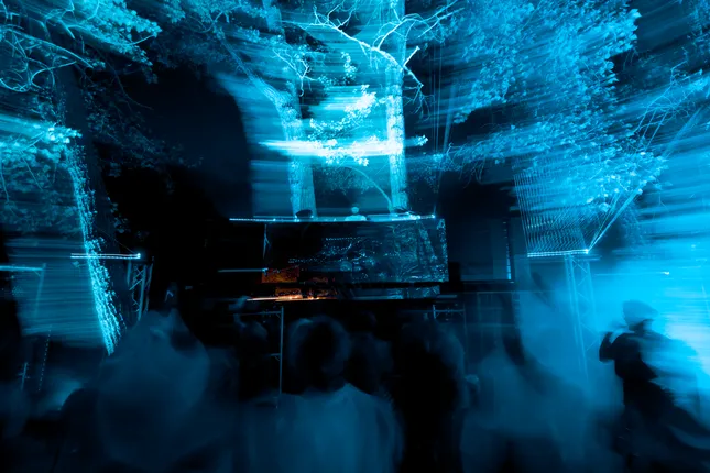 Project image
