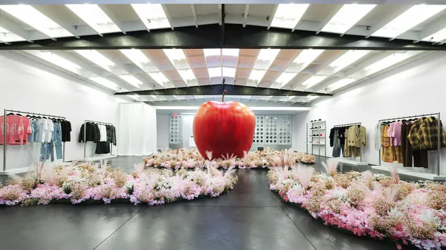 Nahmias x Reisenger Installation at Maxfield