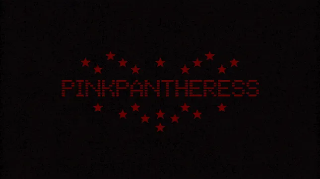 PinkPantheress - Live Logo & Tour Content