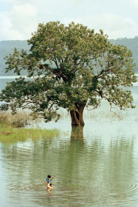 Project image