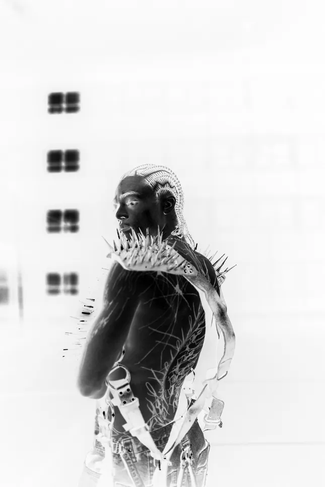 Project image