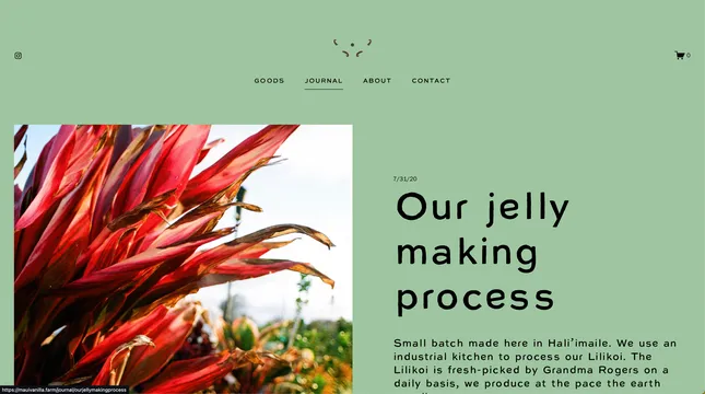 Project image