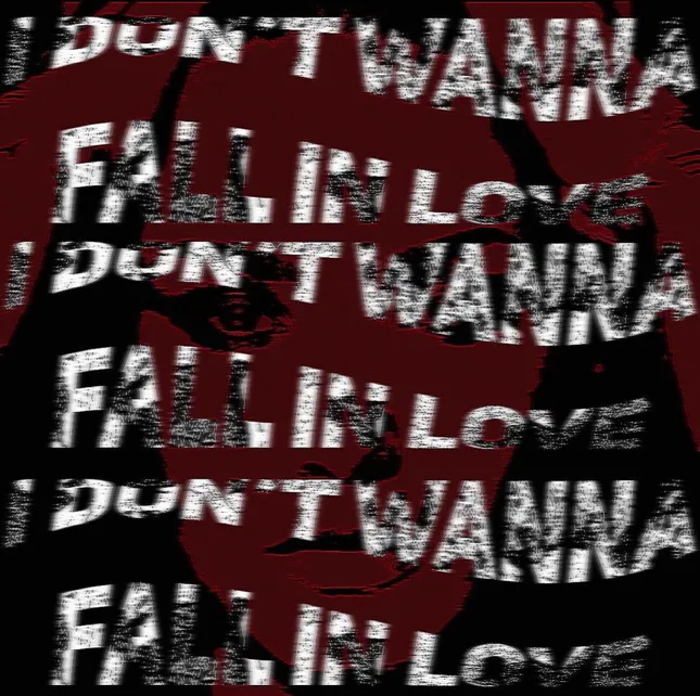 I DON’T WANNA FALL IN LOVE