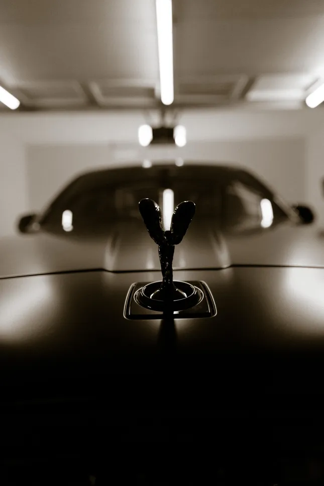 Project image