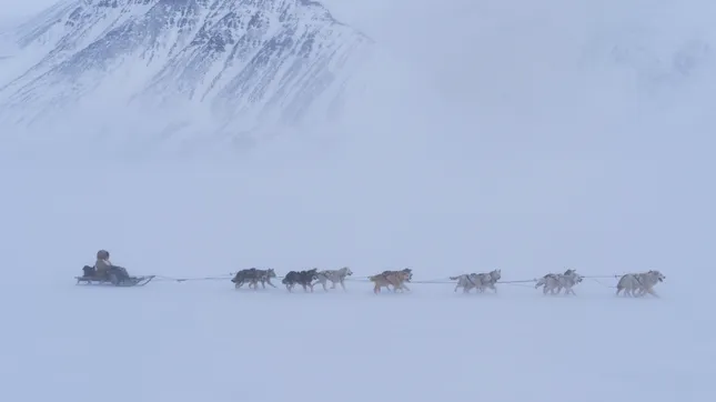 S7 Airlines - Chukotka