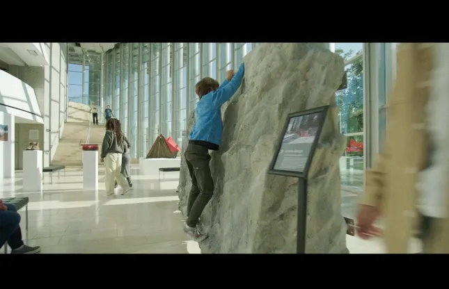 The North Face