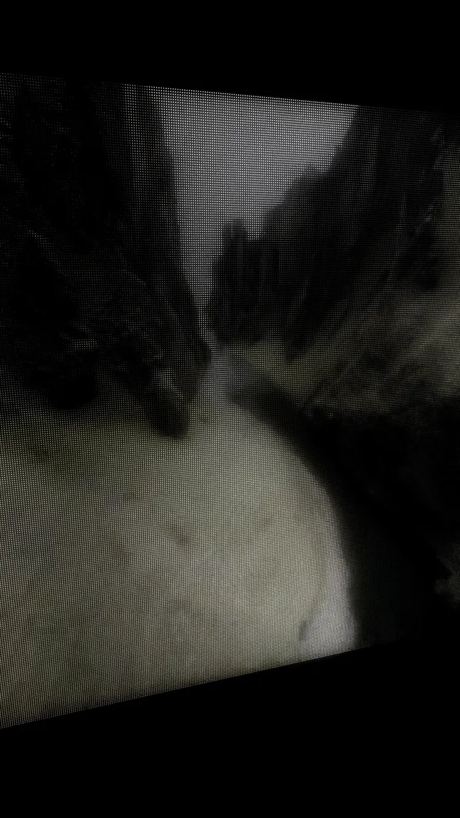 Experimenting - Audio Reactive Dot Videos