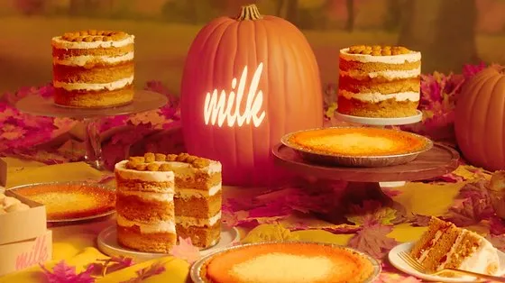 Milk Bar Fall Campaign
