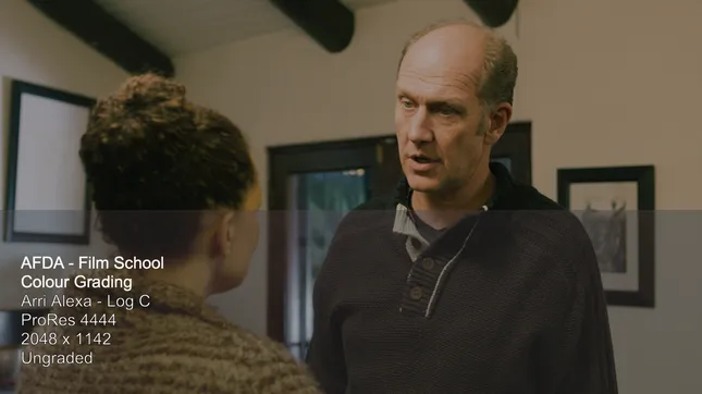 Color Grade Test (2021)