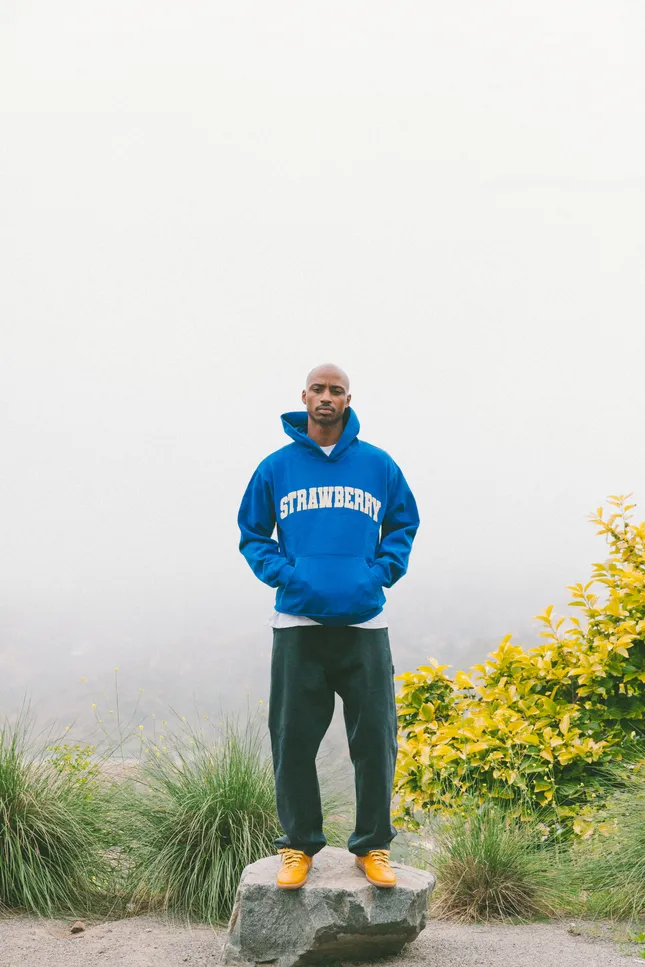 Strawberry brand lookbook