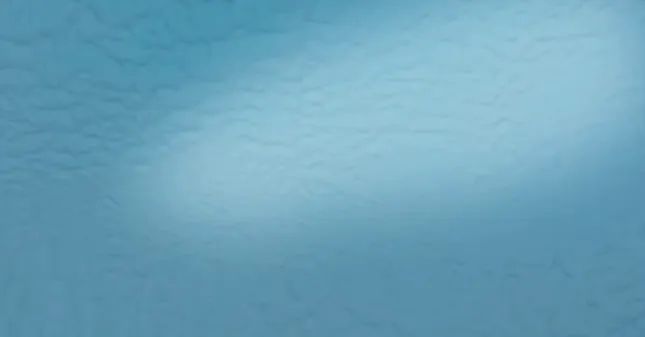 Of the Sea (2019)
