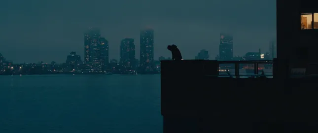 ECHO