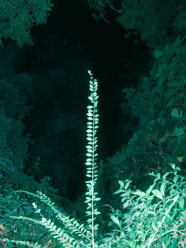 Project image
