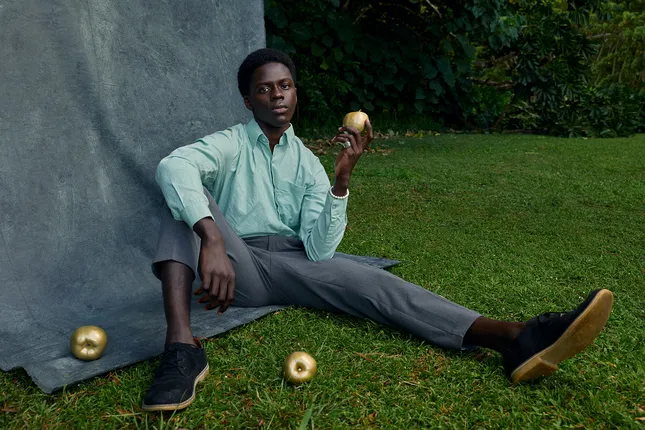 Golden Apples