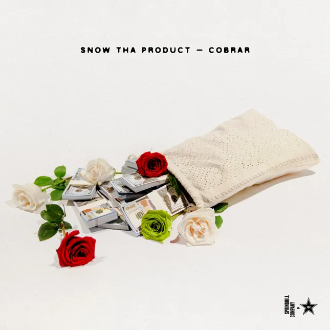 “Cobrar” by Snow Tha Product for The Springhill Company x Rockstar Energy