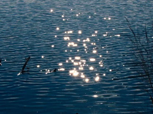 The Color Blue: Radnor Lake
